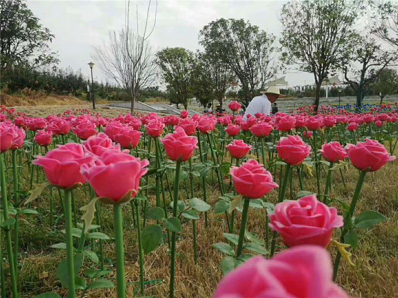 地插灯 