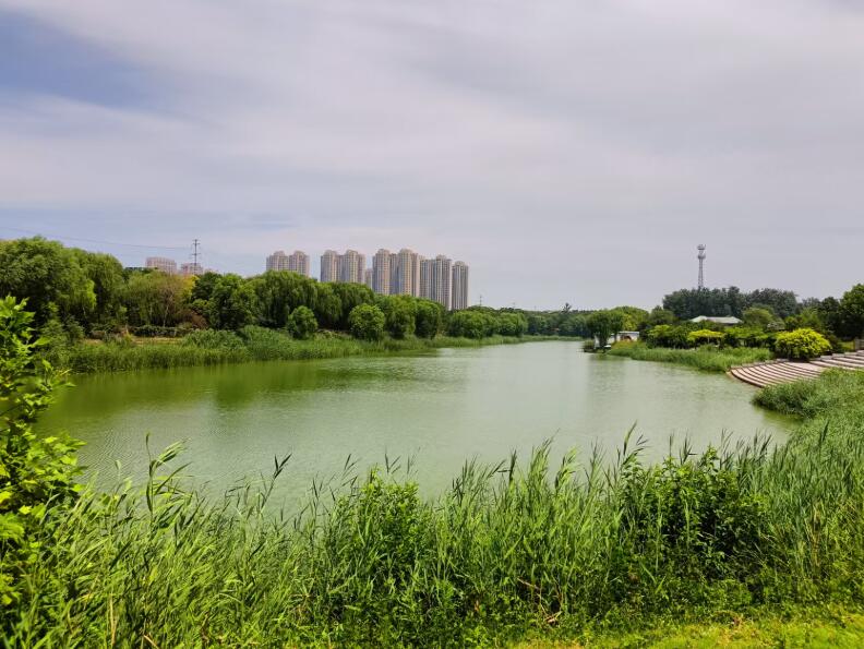 濮阳考察现场实拍.jpg