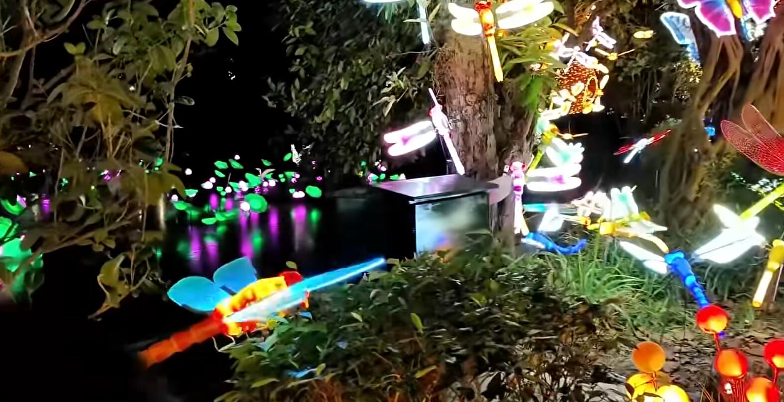 文旅夜游现场.jpg